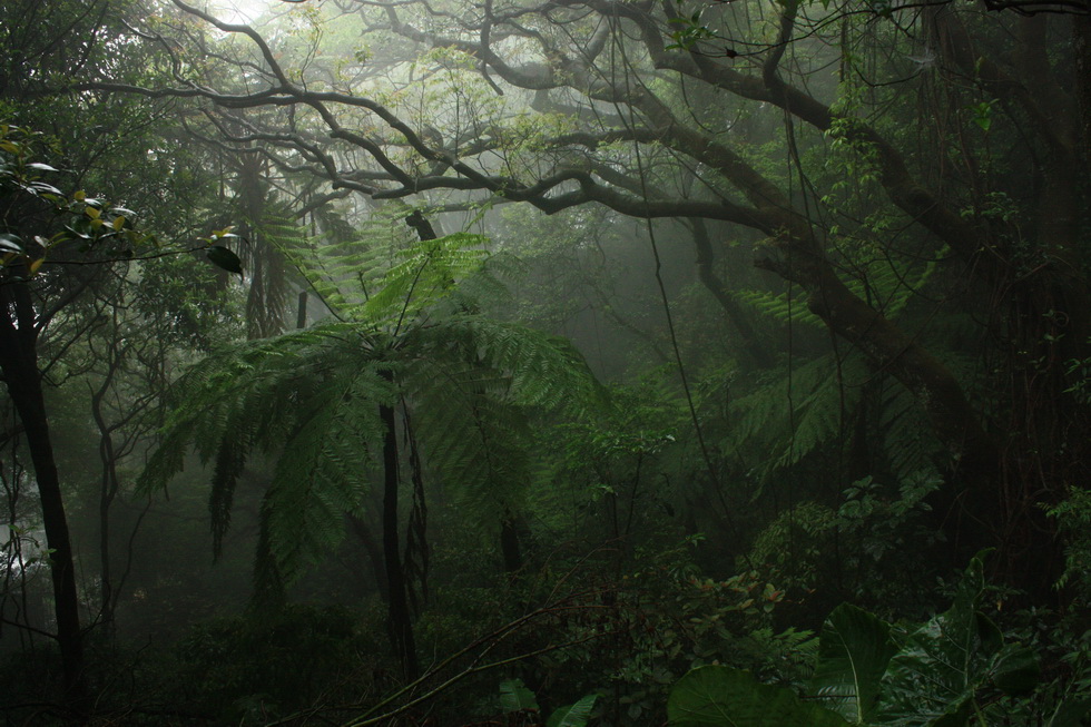 Yangmingshan 1.jpg