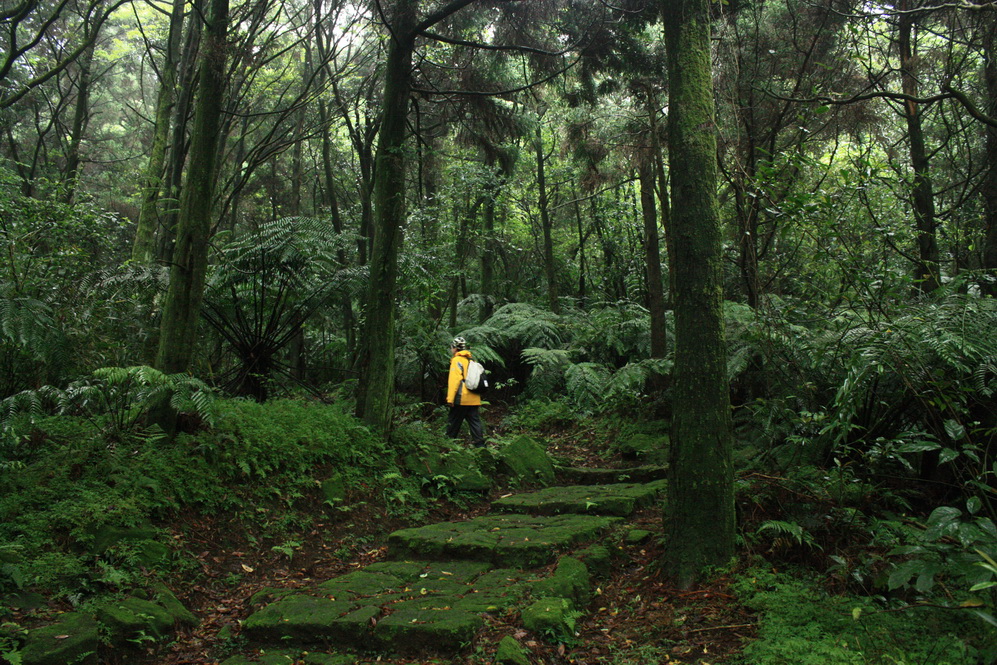 Yangmingshan 4.jpg