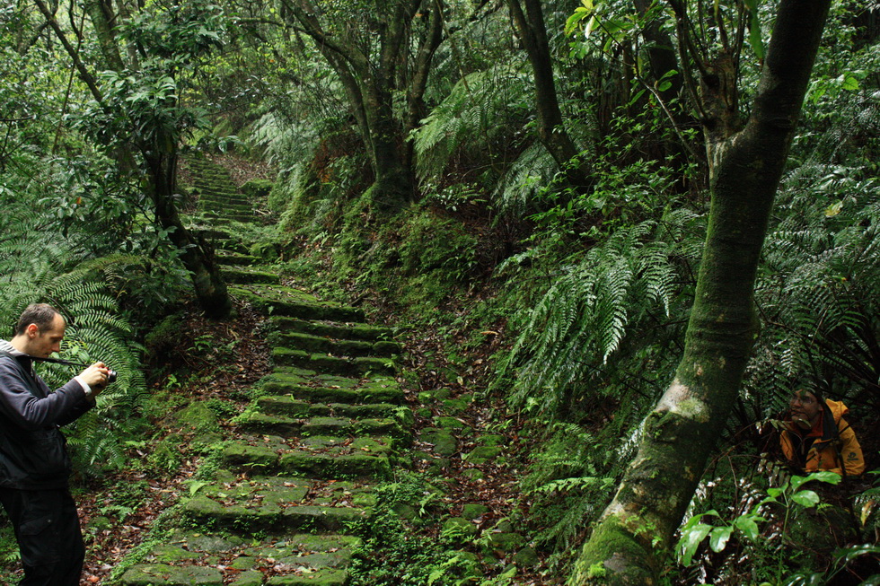 Yangmingshan 5.jpg