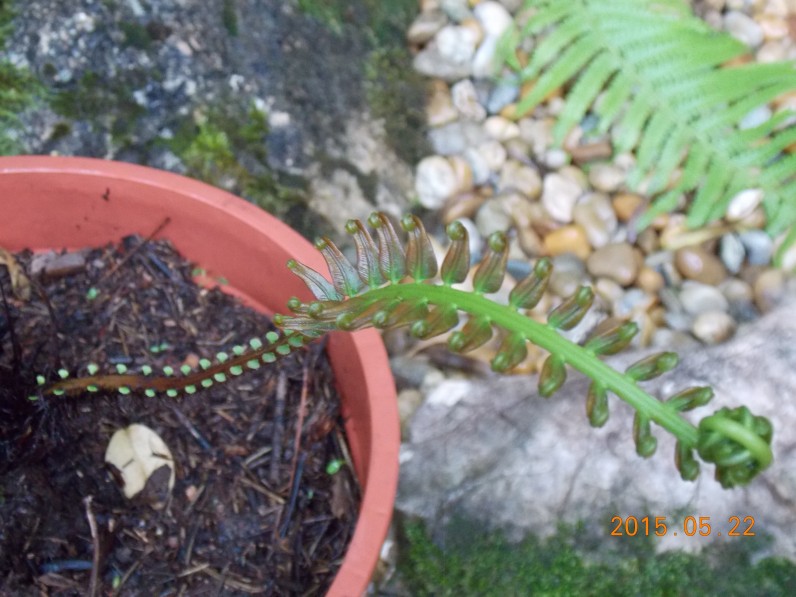 kepatmeretezes_hu_blechnum.jpg