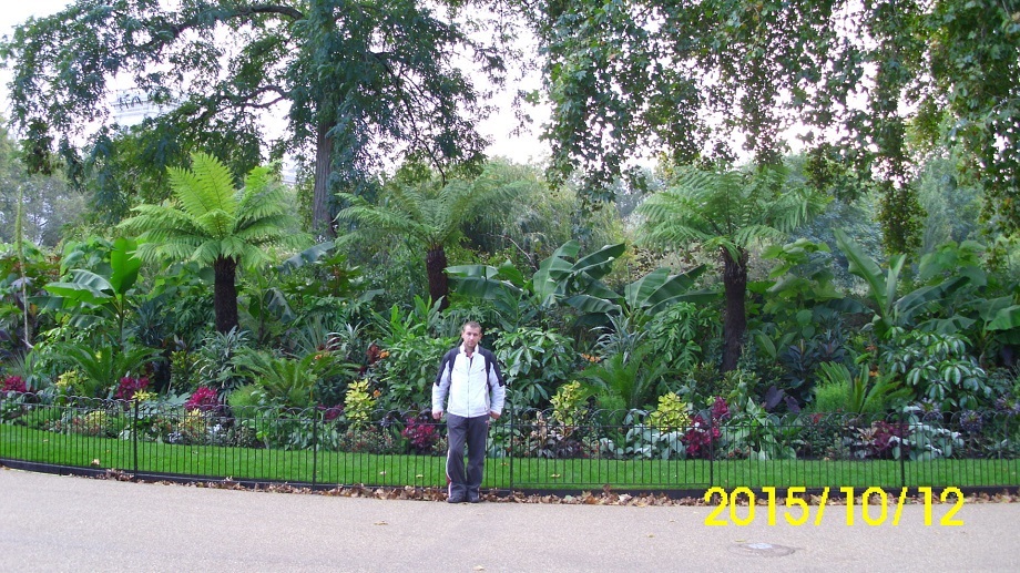 London park.jpg