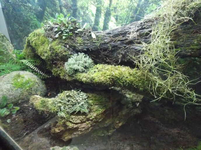 kepatmeretezes_hu_akvarium.jpg