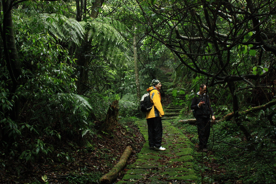 Yangmingshan 7.jpg